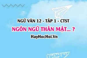 Ngôn ngữ thân mật là gì? Đặc điểm cơ bản của ngôn ngữ thân mật? Ngữ Văn 12 CTST